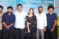 Sarangadariya Movie Success Meet